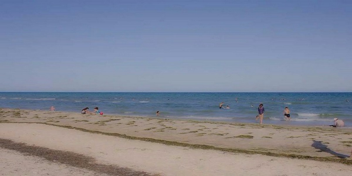 صفاقس : شاطئ الشفار يتنفس أوساخا