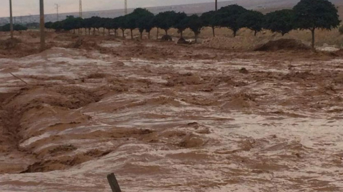 الجزائر: وفاة تونسية جرفتها سيول وادي العلق على التراب التونسي