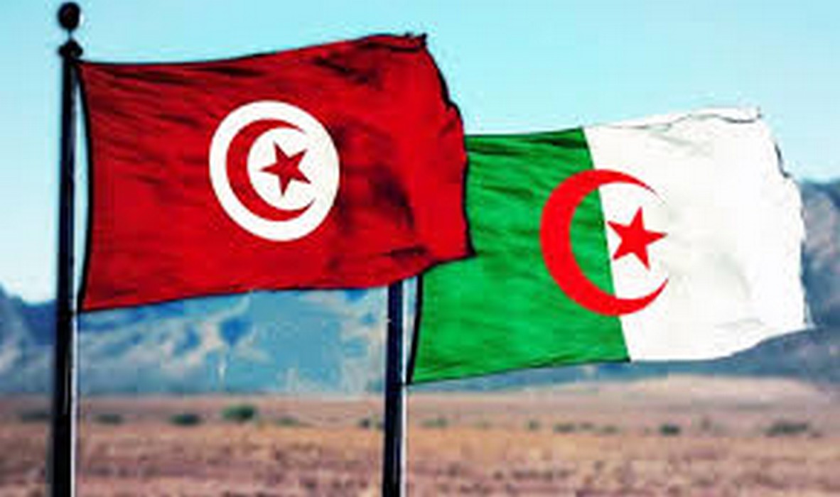 سعيد يهنئ تبون بمناسبة الاحتفال بعيد استقلال الجزائر