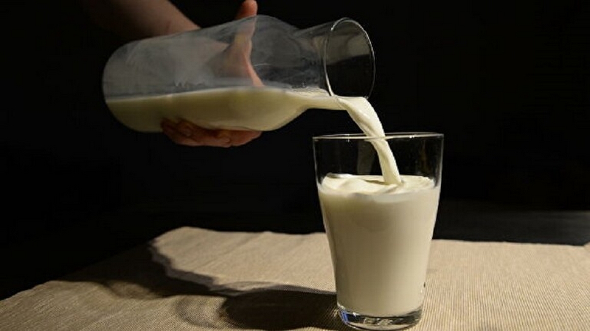 وزير الفلاحة ينفي إقرار أي زيادة في سعر الحليب