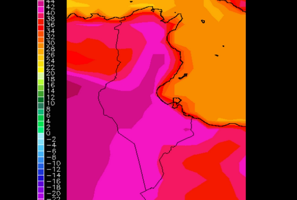 حصاد اليوم من الحرارة حسب المعهد الوطني للرصد الجوي القيروان في المركز الأول افريقيا