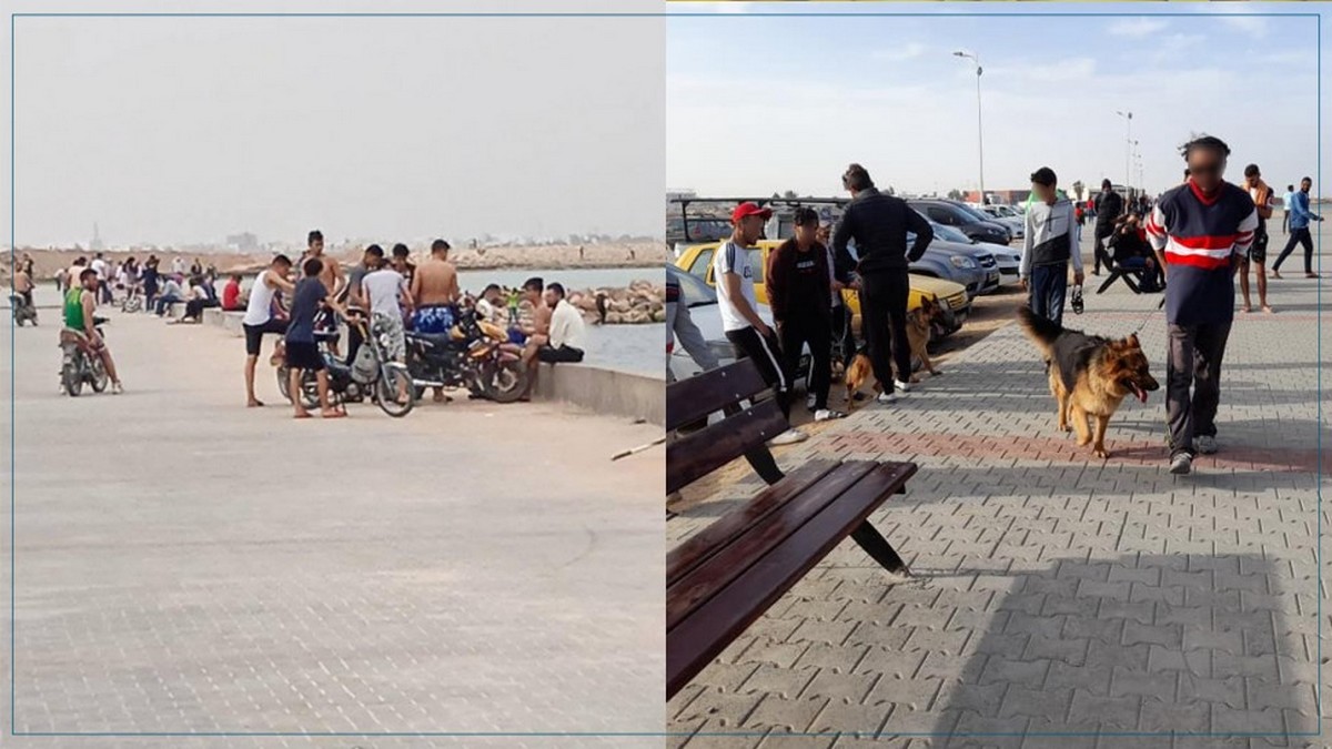 الكازينو : بهلوانيات مرعبة وكلاب شرسة
