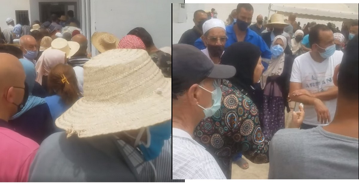 وجهة نظر في توزيع التلاقيح