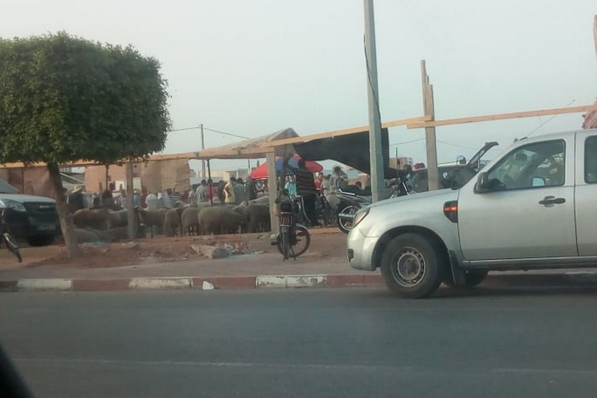 بلدية قرمدة  تغلق سوقها  للدواب  وتسمح  لسوق عشوائيّة بالانتصاب