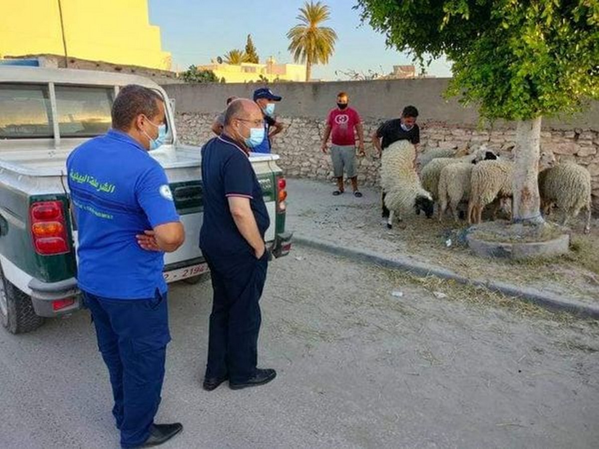 رغم حملة مراقبة للشرطة البيئية : بيع  الخرفان  في  كل  مكان