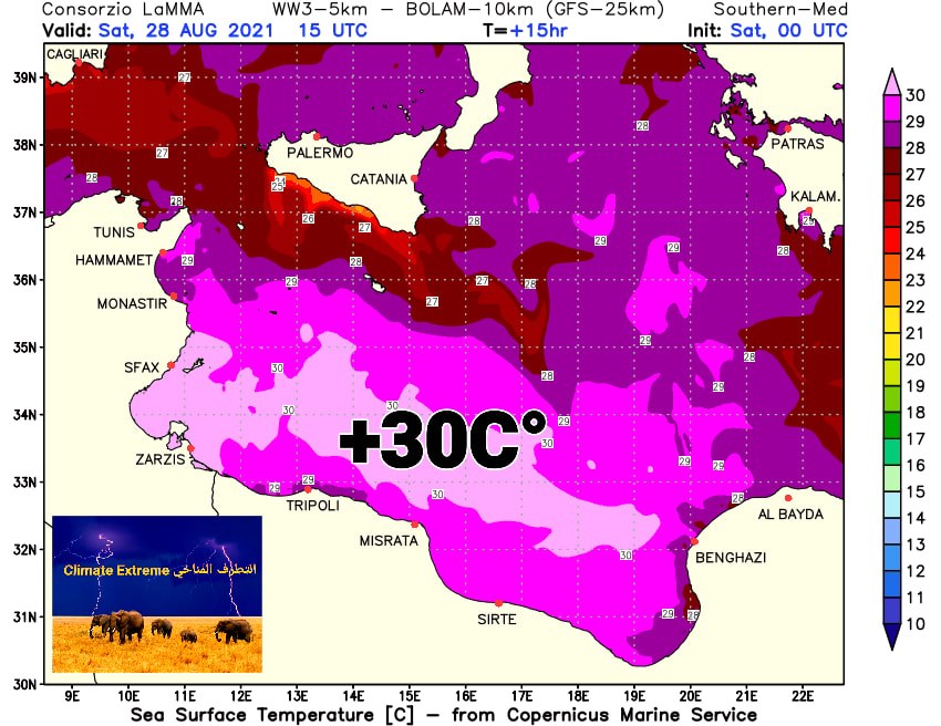 خبير صيني يكشف سبب الحر الشاذ عن القاعدة في العالم