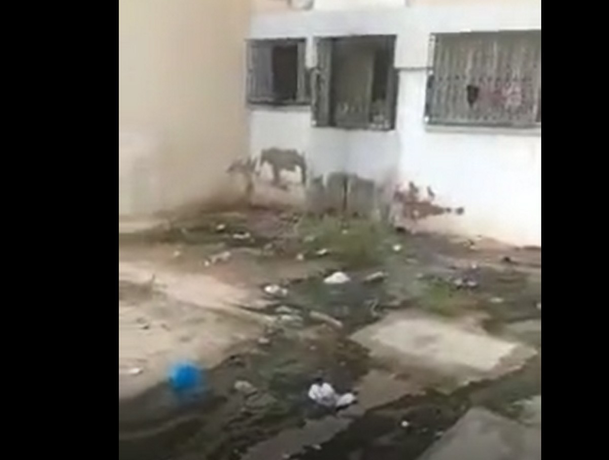 صفاقس بالفيديو : كارثة  بيئيّة بطريق  سكرة والبلدية  لا تستجيب رغم النداءات