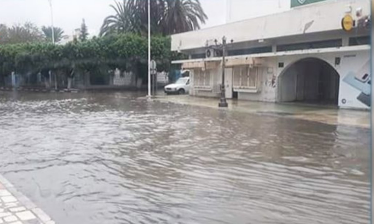 رئيس اتّحاد الفلاحة بباجة: بعد أمطار الخير.. لابد من توفير الأمونيتر