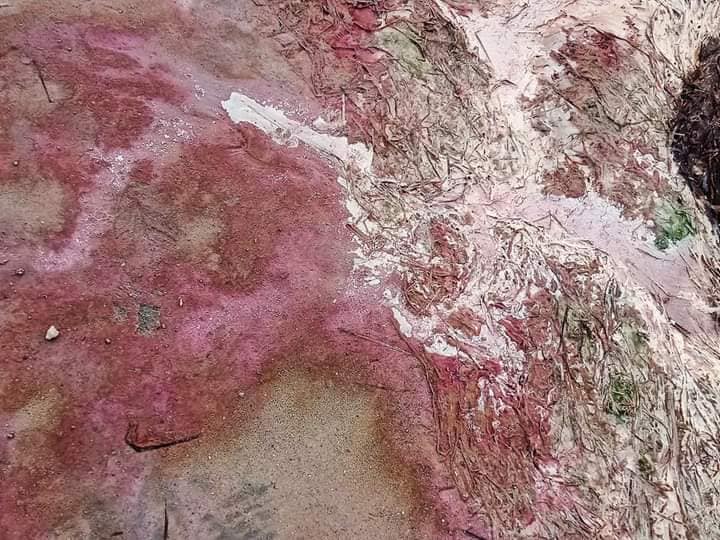 صفاقس الشريط الساحلي بسيدي منصور يستغيث