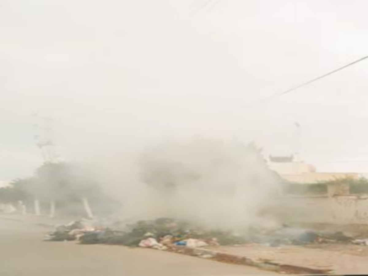 صفاقس حتى الأشجار اُحرقت مع الفضلات