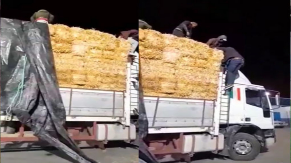 صفاقس :  30 شخصا يختبئون داخل شاحنة محملة ”بالقرط”