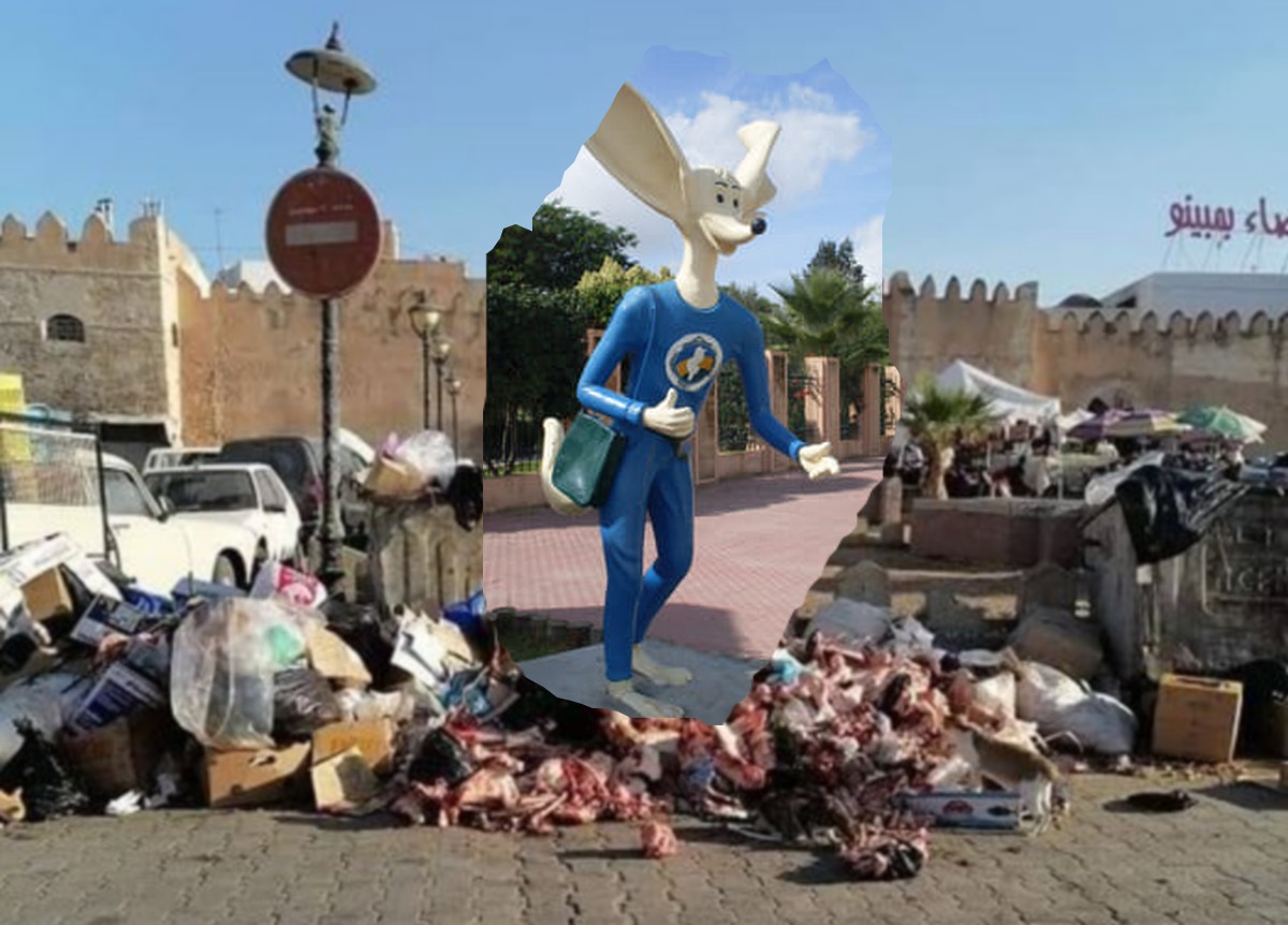 صفاقس لا تريد لبيبكم يا وزارة البيئة