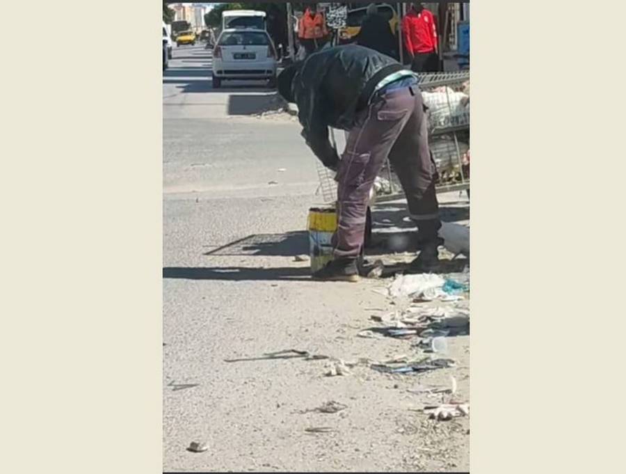 حي البحري صفاقس: بيع وذبح الدجاج على قارعة الطريق