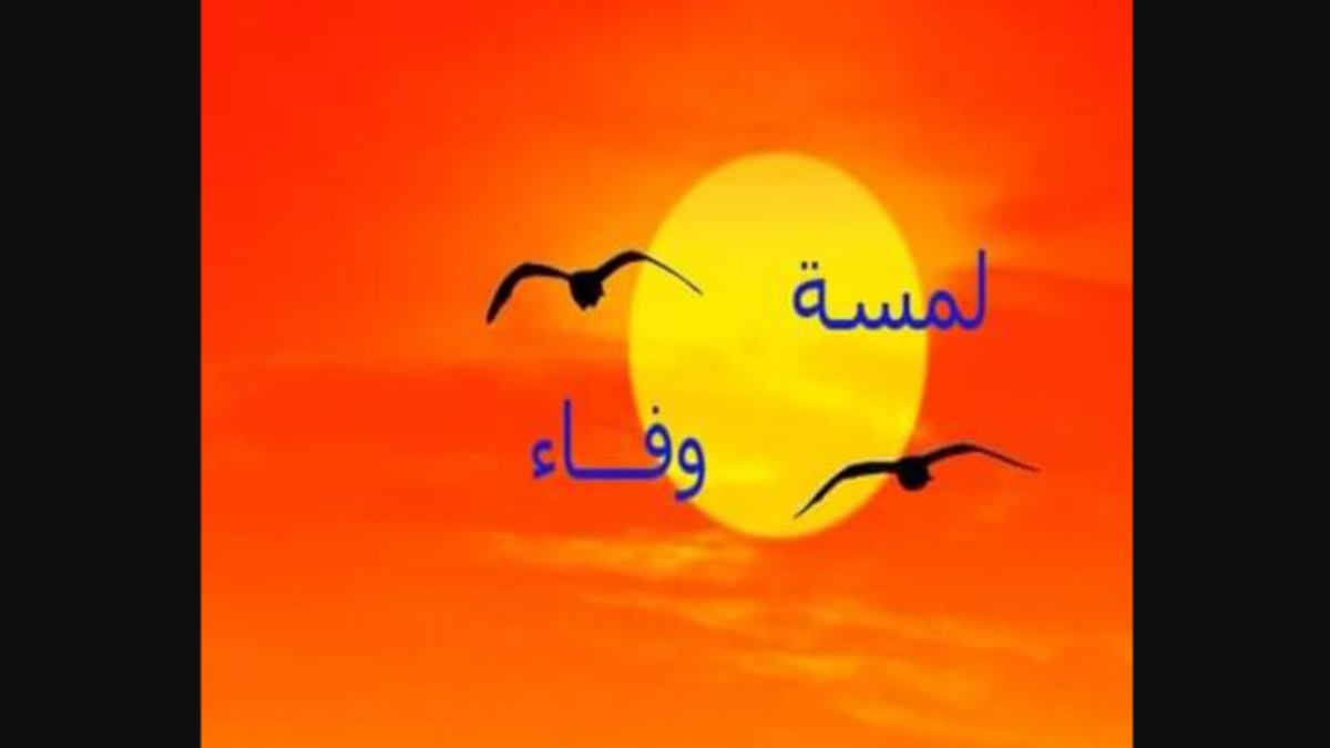 لمسة وفاء : إلى روح الدكتور محمّد أنور عشيش