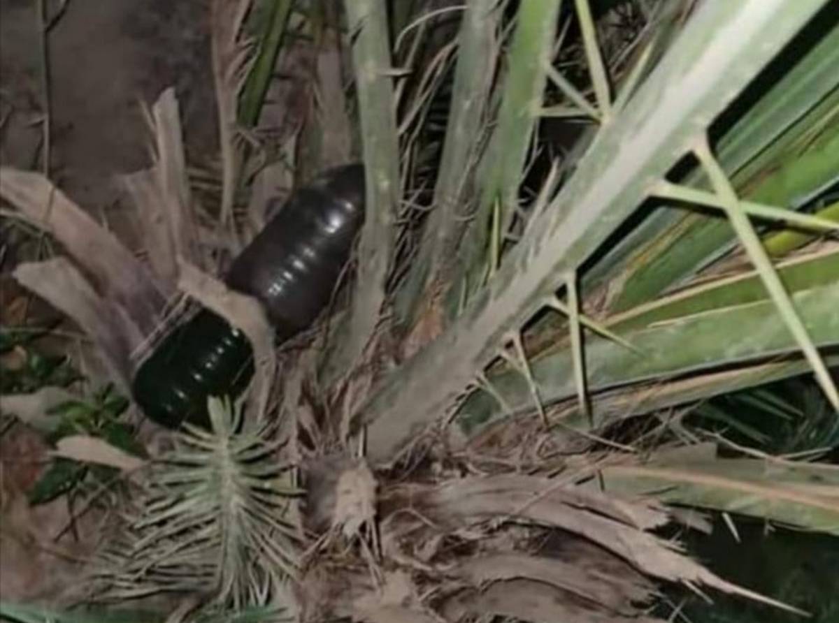 تسجيل 32 قضية عدلية تتعلّق بالحرائق الاخيرة