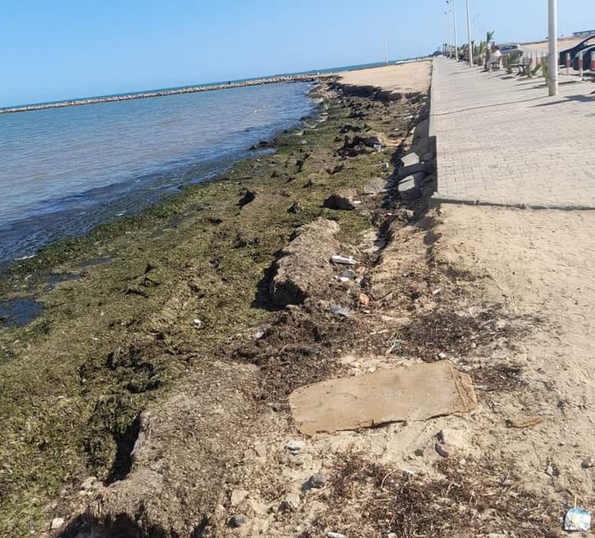 كازينو صفاقس يتطلب دعما كبيرا من الدولة  لمجهودات المجتمع المدني