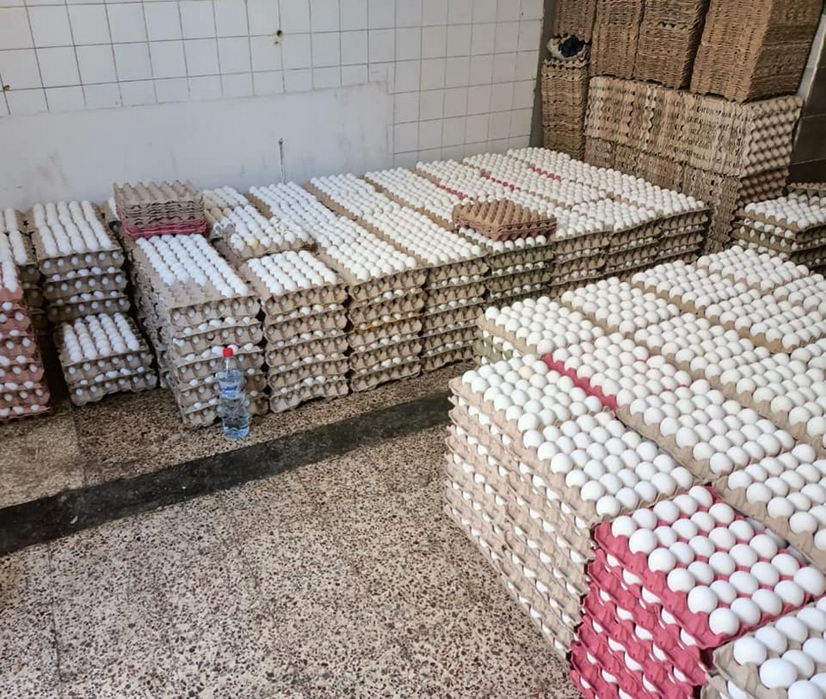 سيدي بوزيد: حجز 30000 بيضة على متن شاحنة خفيفة تعمّد صاحبها مسكها دون أن تتوفر فيه صفة التاجر