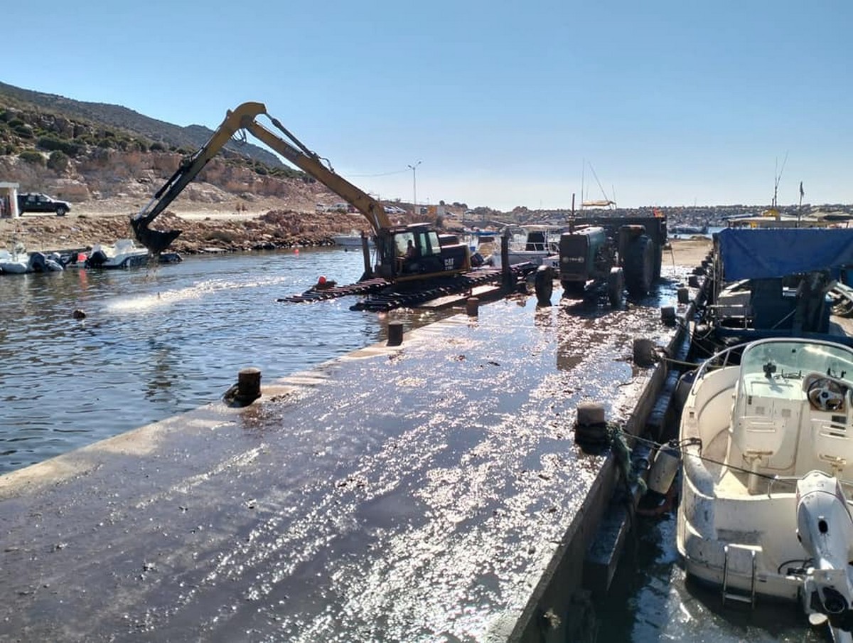 الهوارية… الإنطلاق في رفع الطحالب البحرية من محيط الميناء وإستئناف عمليات الجهر