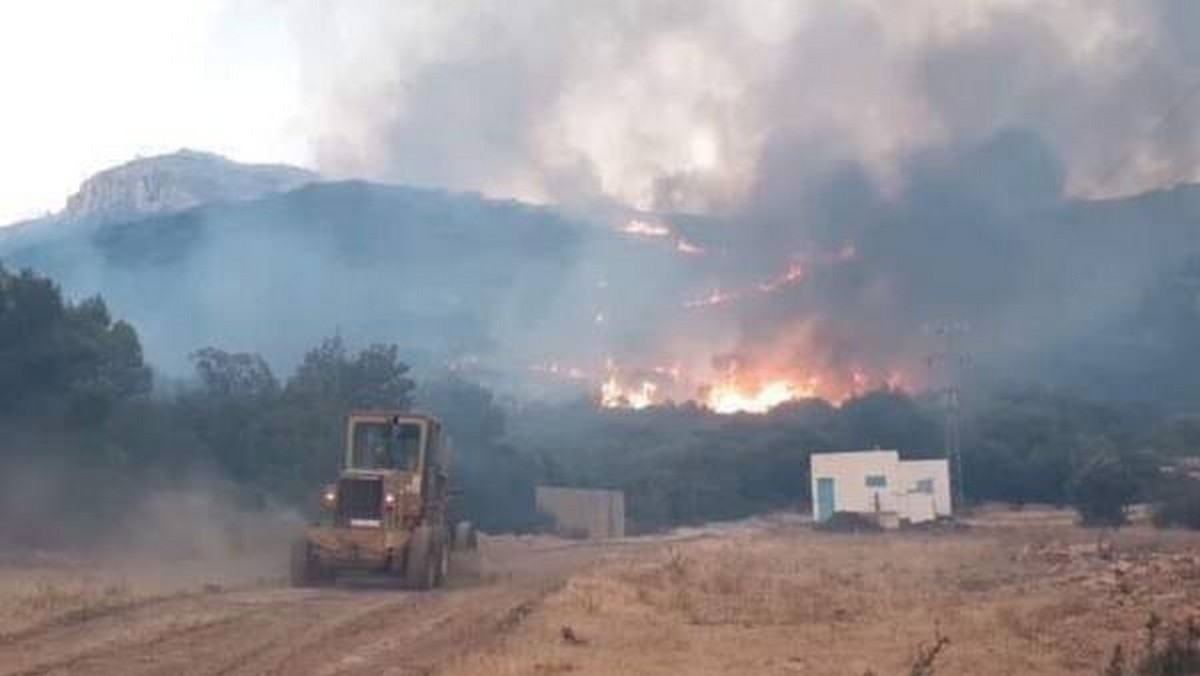 بنزرت: تفعيل المخطط المحلي لتنظيم النجدة ببنزرت الجنوبية والسيطرة على حريق جبل الجبارنية بمنطقة سيدي عامر