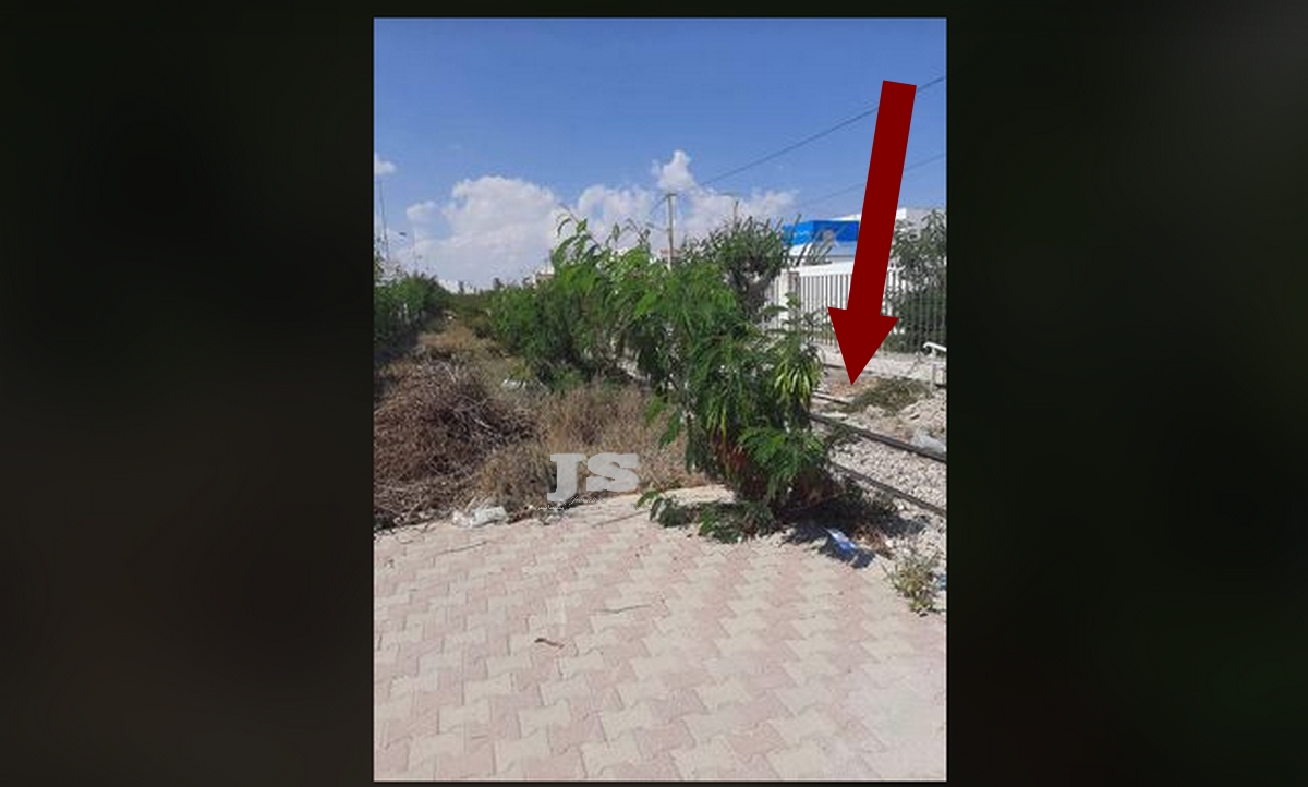 صفاقس  : الأشجار  تُخفي  السكة  الحديدية وجُزء من  الطريق وتُعرّض حياة المارّة للخطر