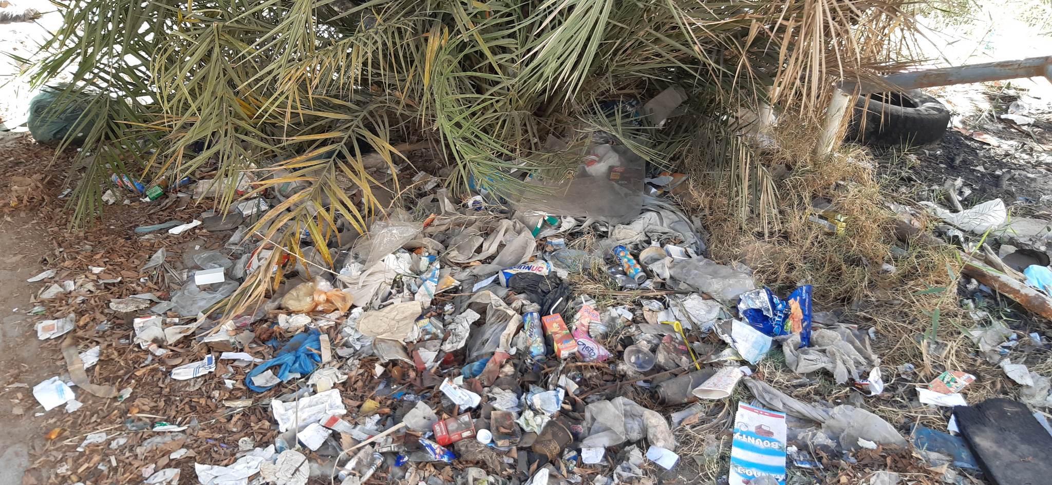 صفاقس: أراض مهملة بقلب المدينة اصبحت مصبات نفايات