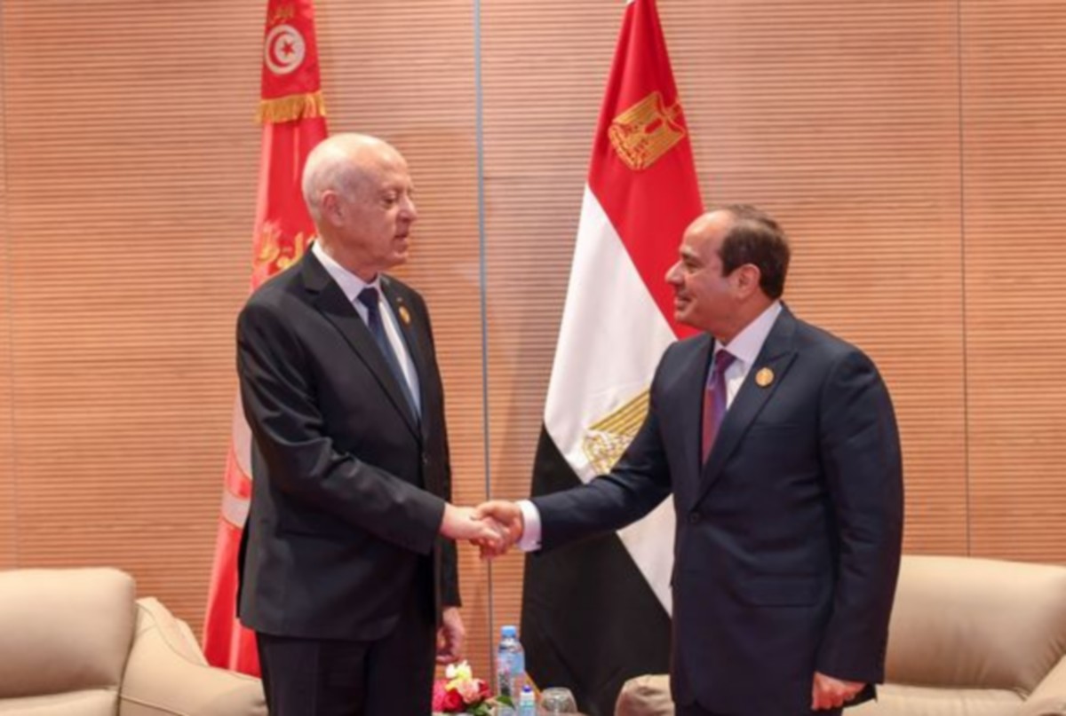 رئيس  الدولة يجتمع بالرئيس السيسي في  الجزائر