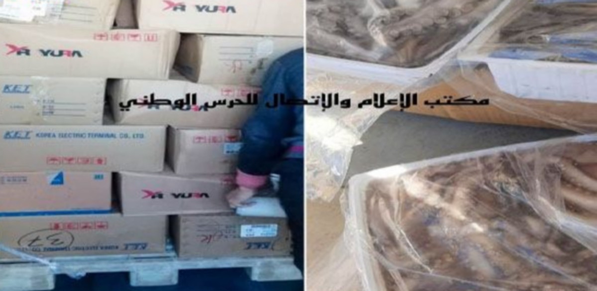 حجز أكثر من 600 كلغ من “القرنيط” كانت مُعدّة للتهريب بمدينة المهدية