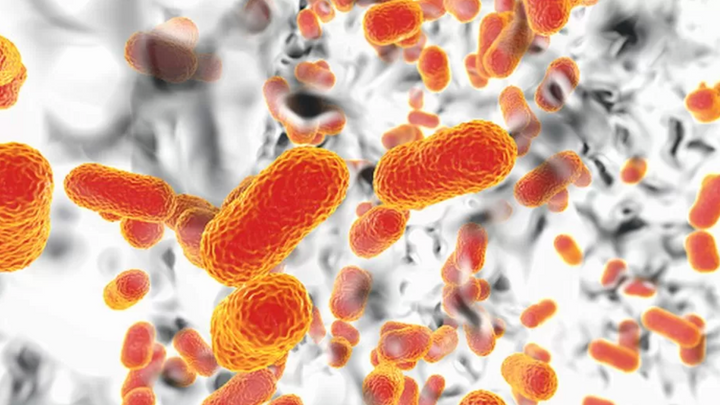 جائحة خطيرة صامتة.. ماذا نعرف عن البكتيريا شديدة المقاومة للمضادات الحيوية؟