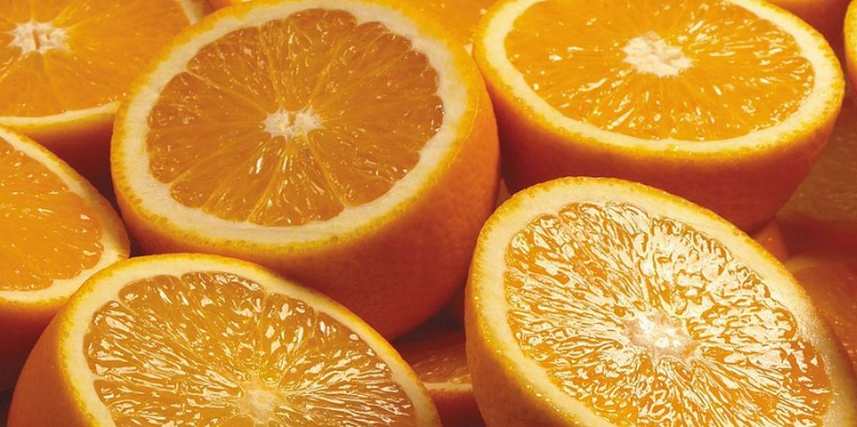 كيفية العناية بشجرة البرتقال.