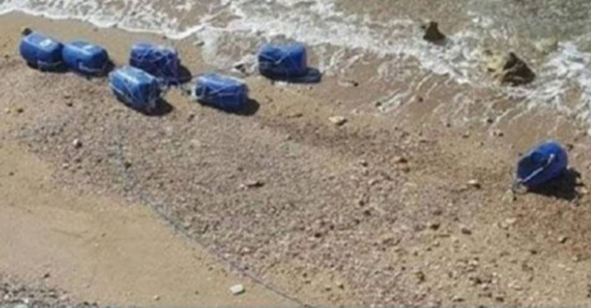 300 صفيحة من  الزطلة  في  شواطئ جربة