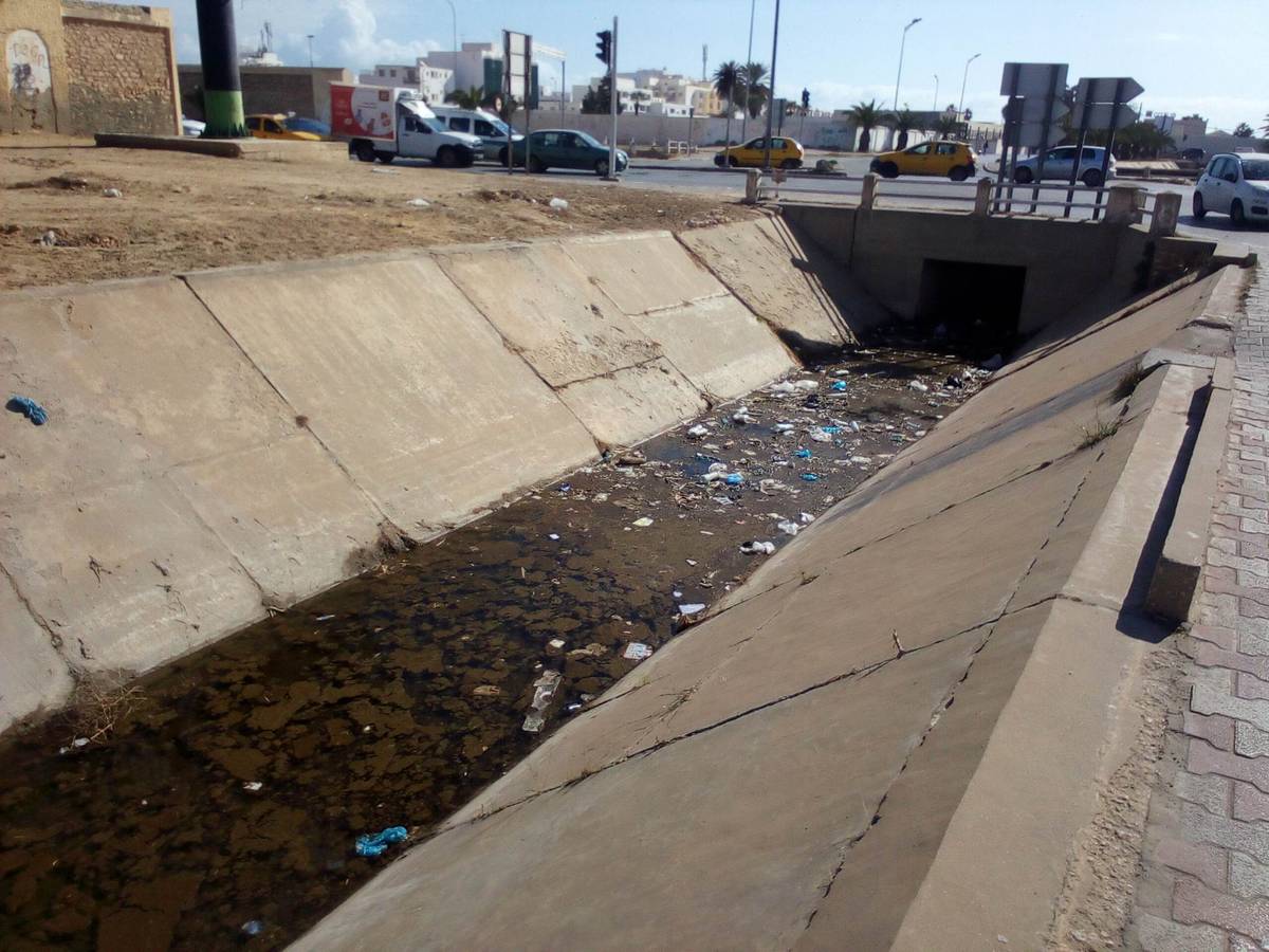 صفاقس : يجب القضاء على  يرقات الوشواشة قبل  فوات  الأوان