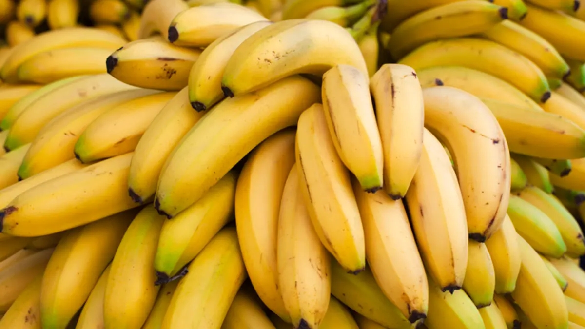 ابتداء من يوم الثلاثاء: الموز المصري في الأسواق التونسيّة بـ5 دنانير