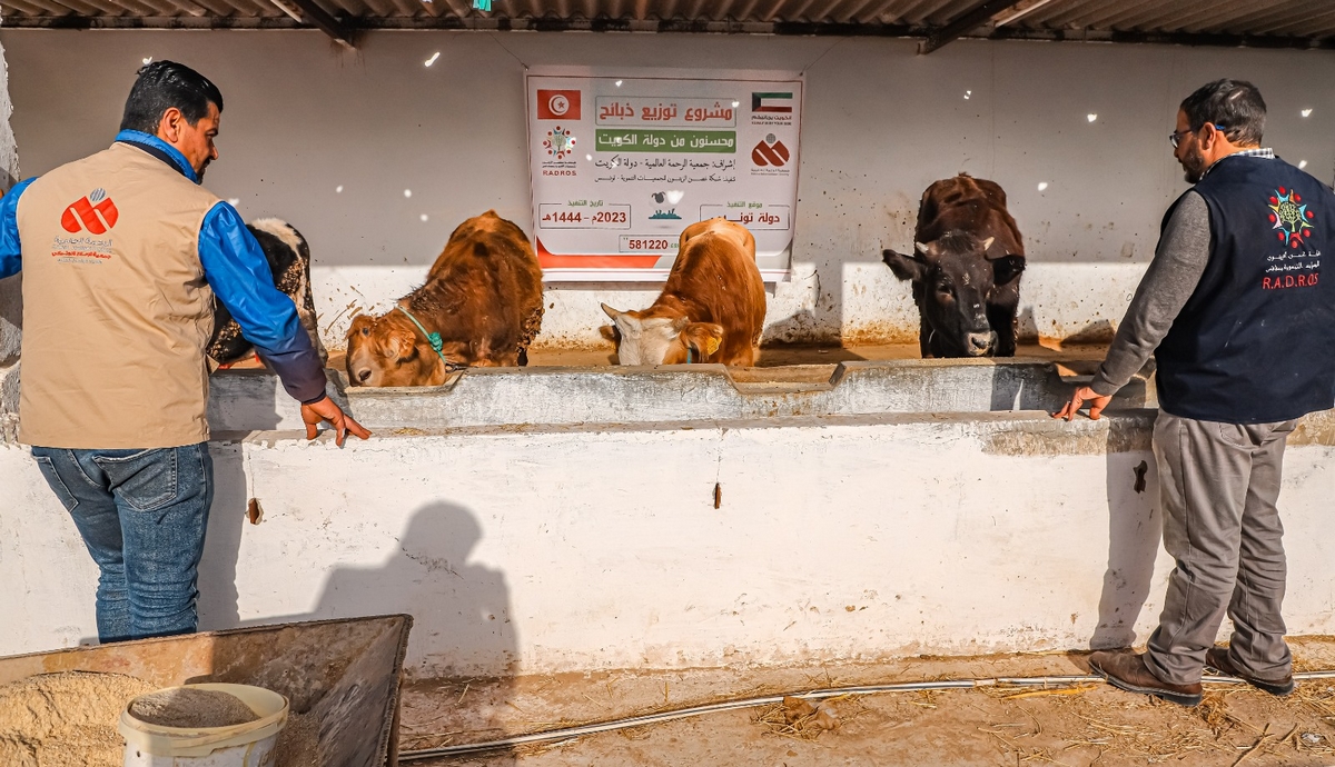 شبكة غصن الزيتون الخيرية تنتهي من تنفيذ حملة “توزيع ذبائح” على العائلات ذات الدخل المحدود