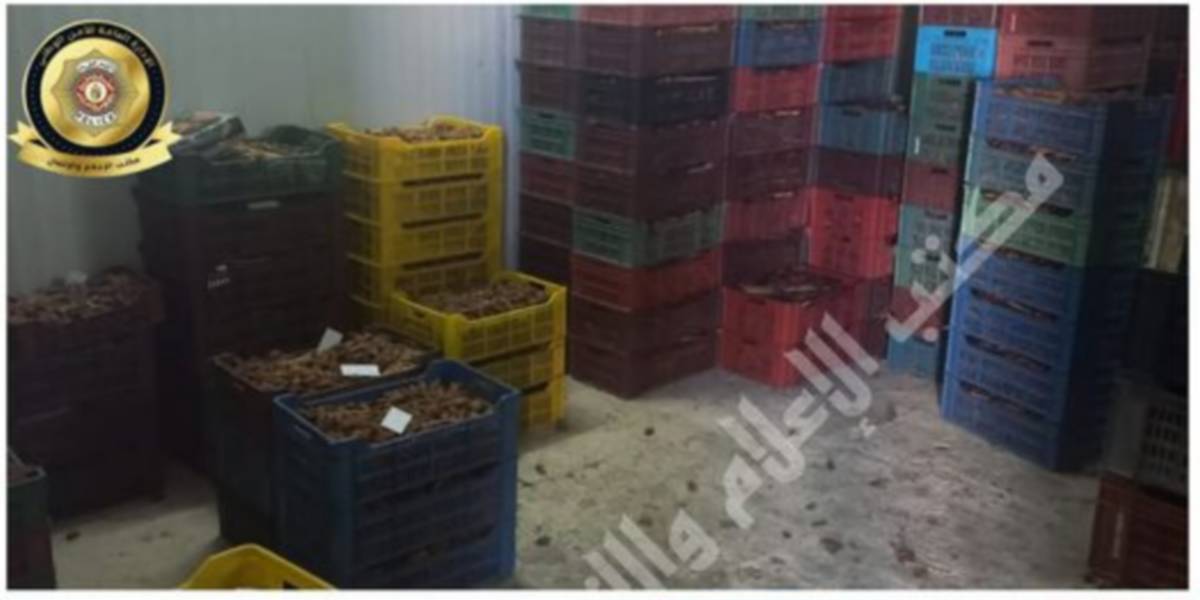 صفاقس: مركز الشرطة البلدية بالعين  يحجز 20 طنّا من التمور