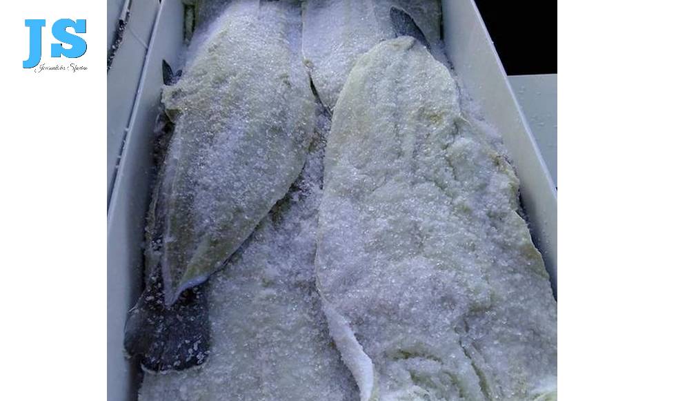 صفاقس : الباكالاو وصلْ   وأسعاره من نارْ