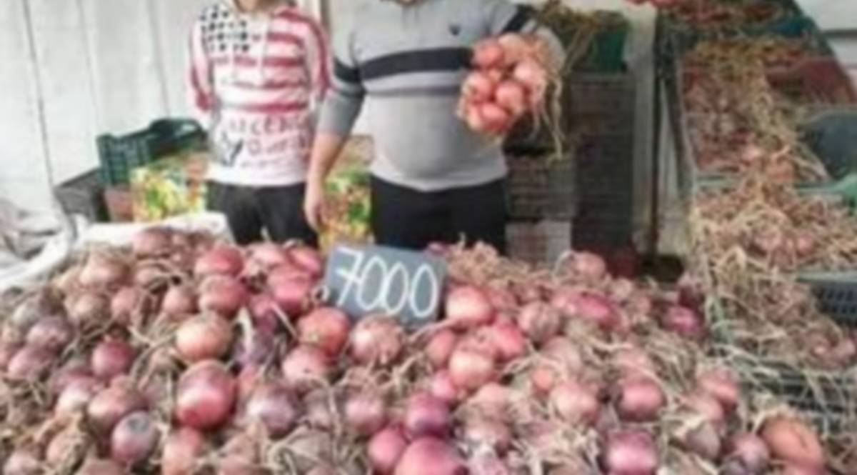 صفاقس : الشرمولة في خطر  بسبب إشتعال  سعر  البصل
