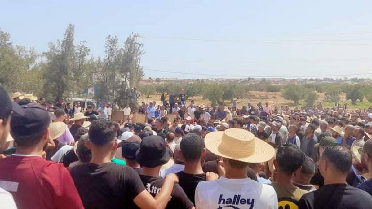 الم وحزن ودموع : عقارب تودع أبناءها الوداع الأخير