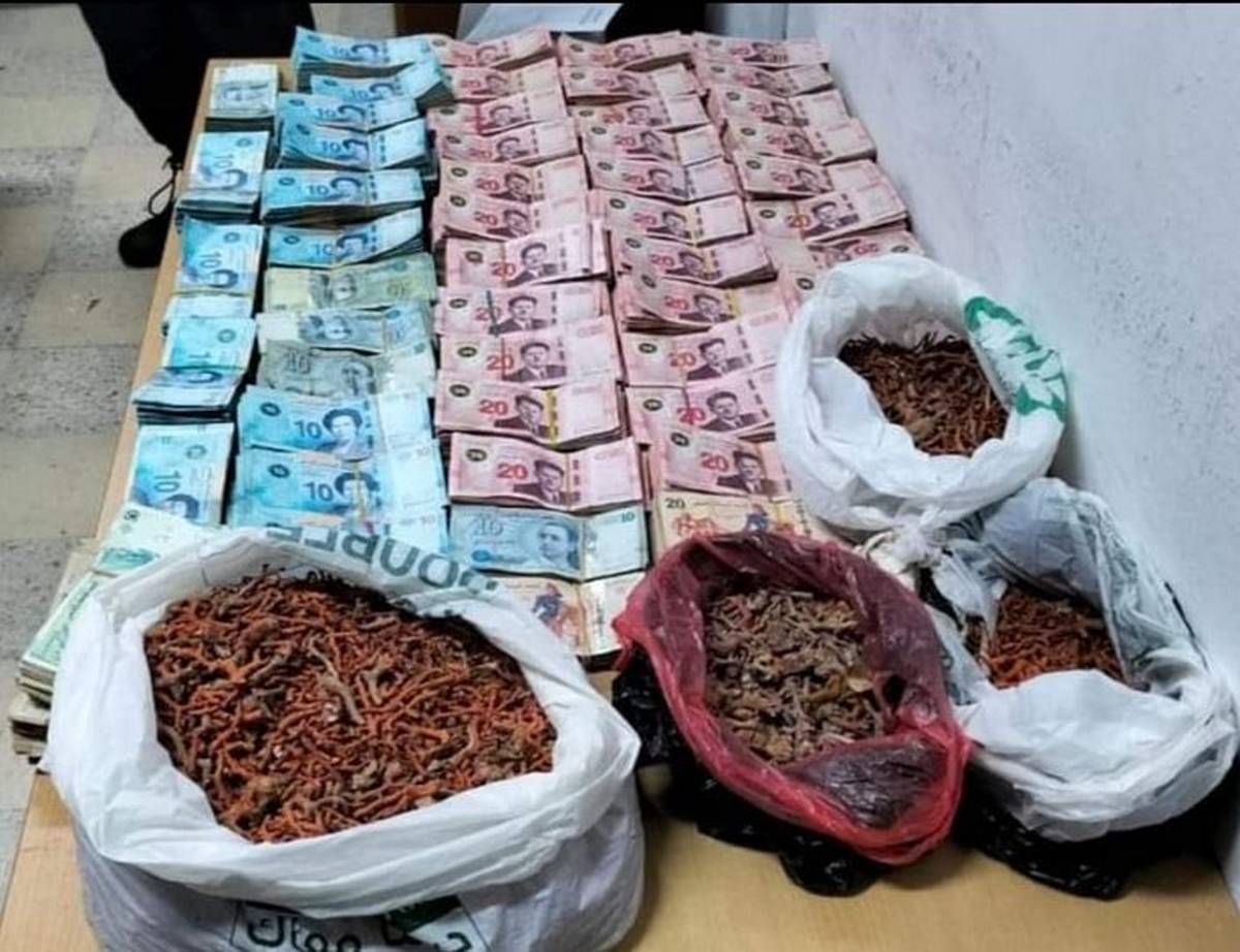 بنزرت : مصالح الحرس الديواني بمنزل بورقيبة تحجز 7كلغ من المرجان المهرب