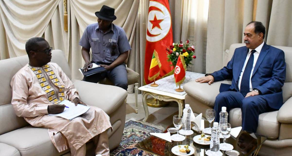 الفقي يتباحث مع سفير مالي وضعية الماليين المقيمين بتونس