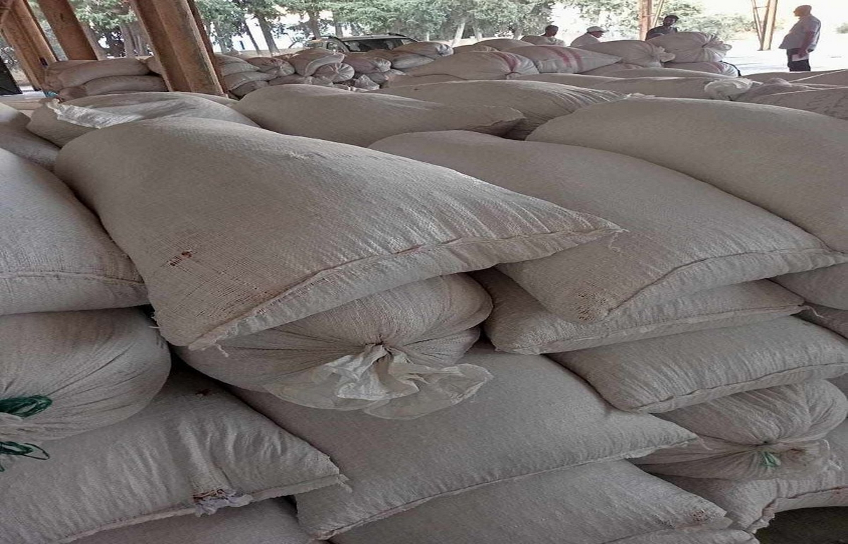 بنزرت: حجز حوالي 15طنا من القمح الصلب والحمص والفول بمخزن عشوائي في جرزونة