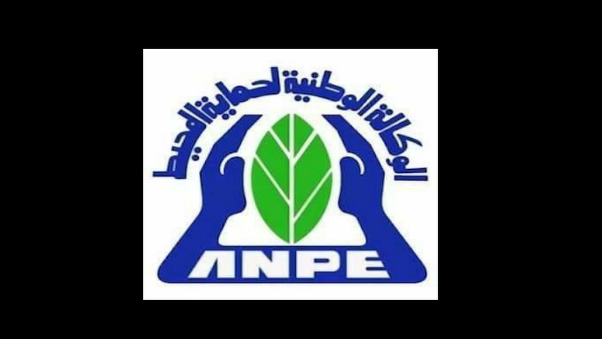 الوكالة الوطنية لحماية المحيط تنظم ندوة تحت شعار “بروتوكول مونتريال: إصلاح طبقة الأوزون والحد من تغير المناخ”