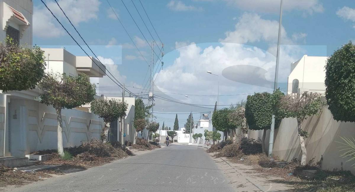 صفاقس قرمدة : عندما يتم  تقليم  الأشجار ولا تُرفع الزبيرة …