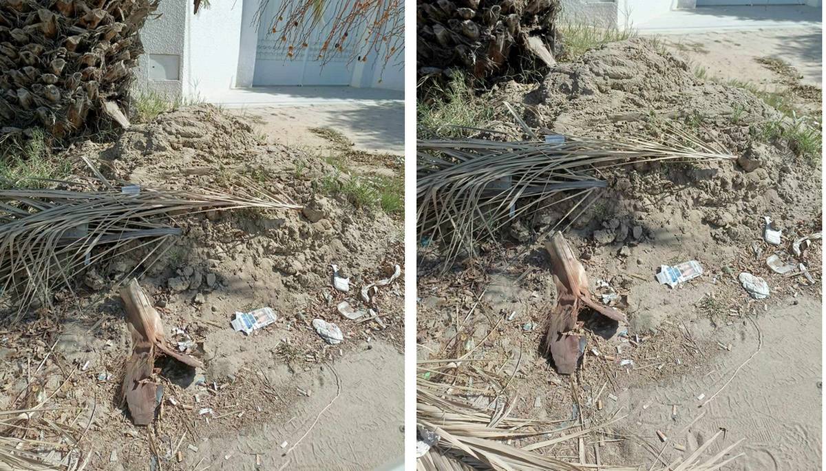 صفاقس : حملة لتنظيف الطريق لكنهم نسوا أكوام التراب تحت الأشجار