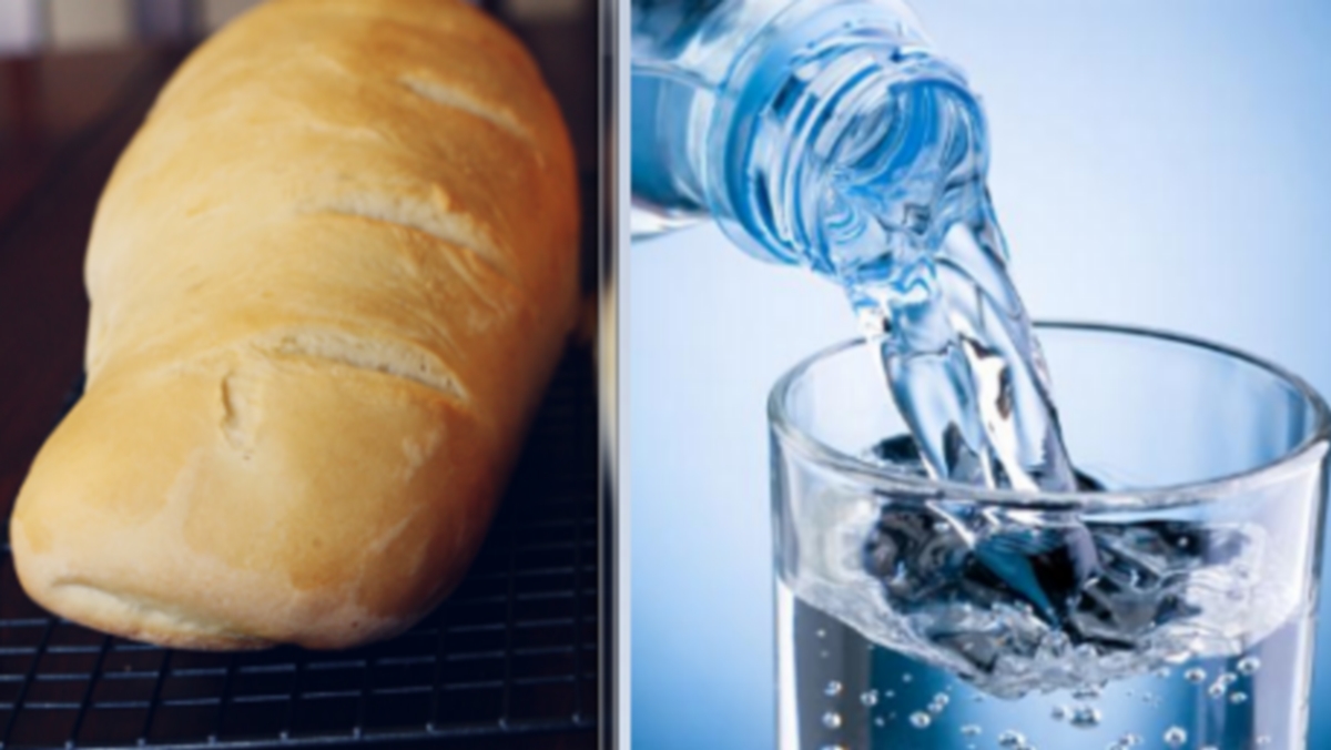 تونس ندوة حوارية بعنوان خبز وماء