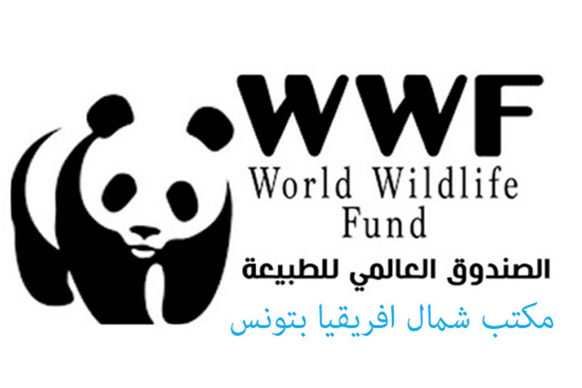 حماية الأنظمة الغابية محور الدورة الثالثة من أسبوع الغابات التونسيّة من 14 إلى 19 نوفمبر 2023