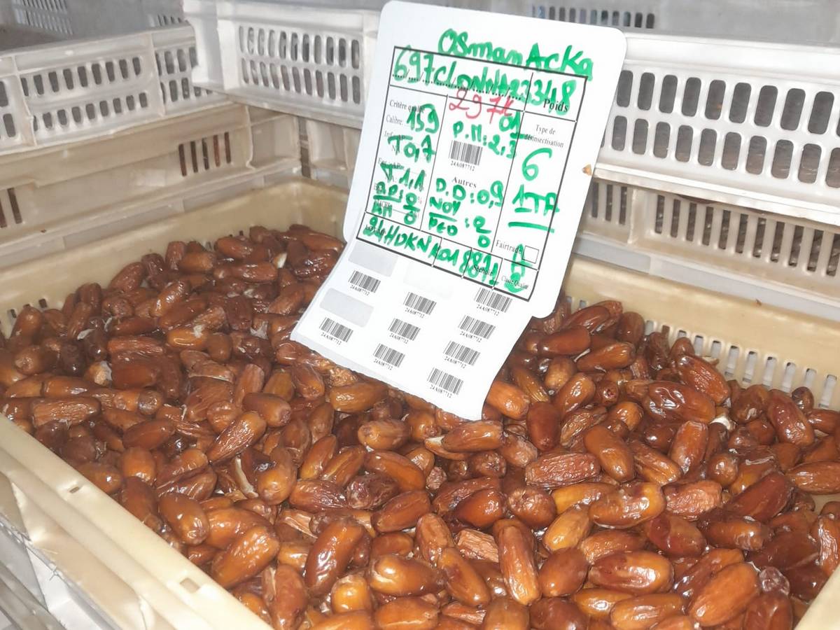 المحمدية .. فوشانة : حجز كمية من المواد المدعمة.