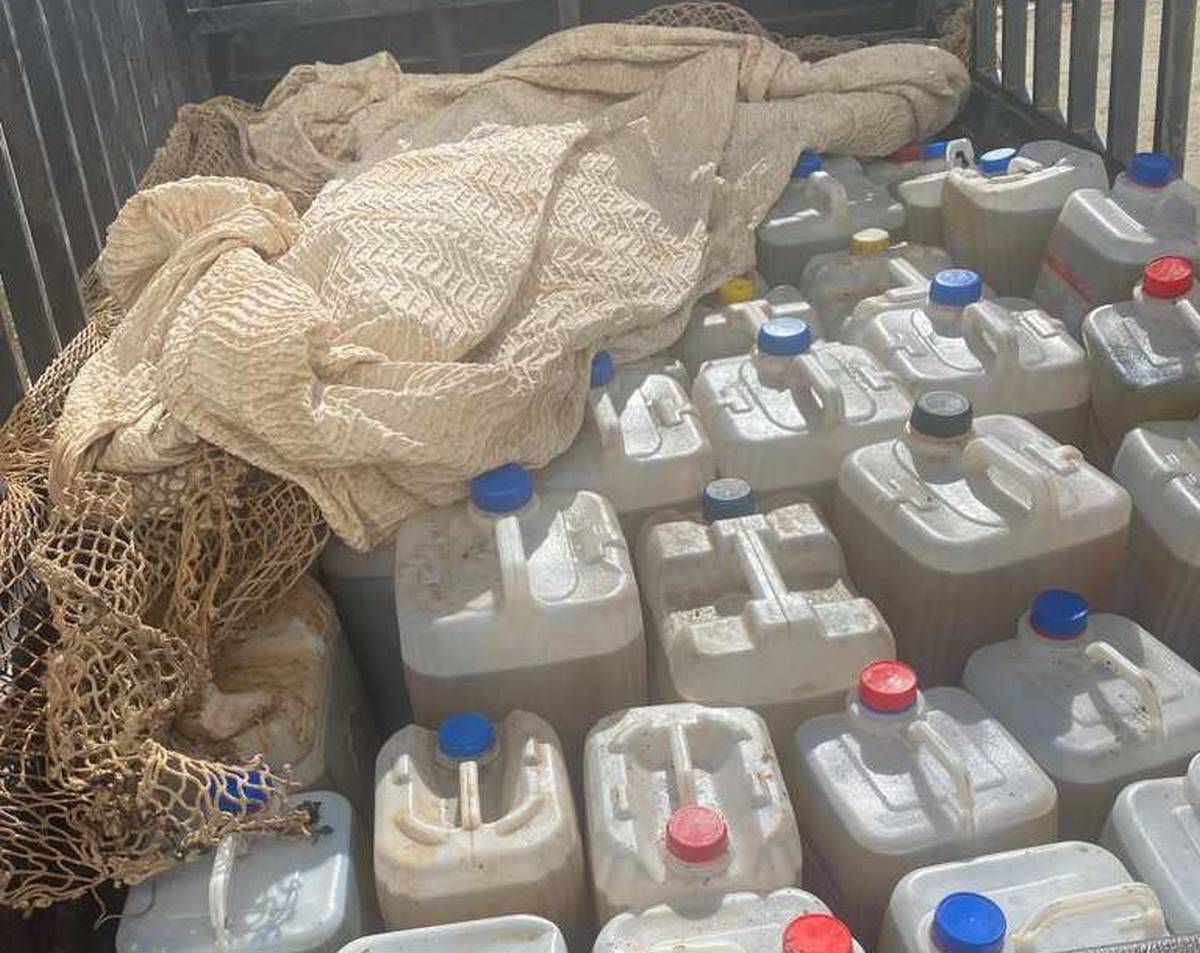 مواصلة للأبحاث المجراة في قطاع ترويج زيت الزيتون المخلوط والمغشوش