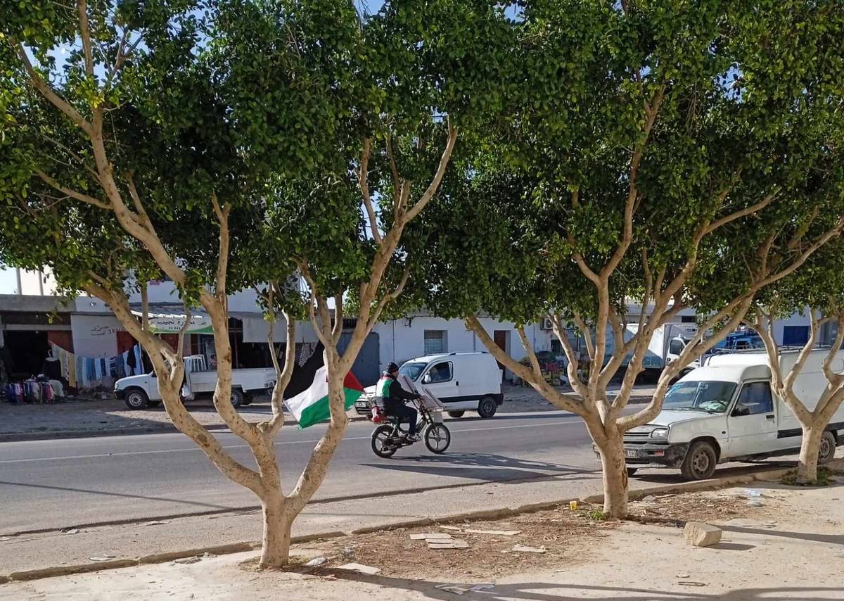 شاب اصيل الشابة يخدم القضيّة الفلسطينيّة على طريقته
