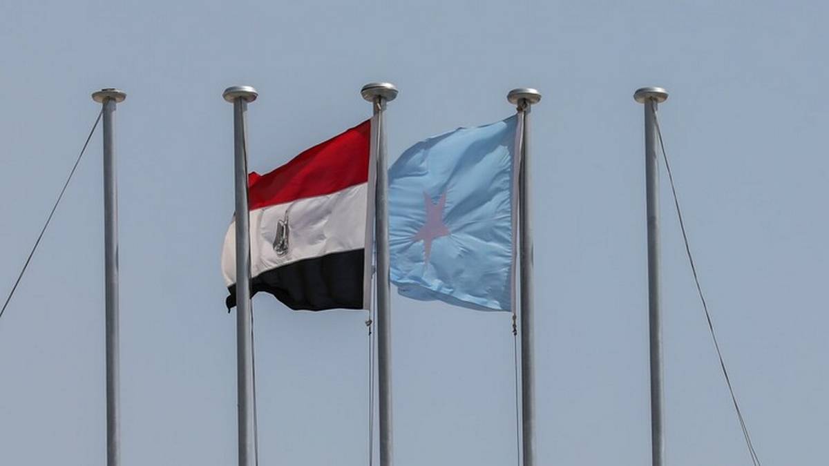 وسائل إعلام: السيسي يدعو رئيس الصومال لزيارة مصر بعد أزمة “صومالي لاند”