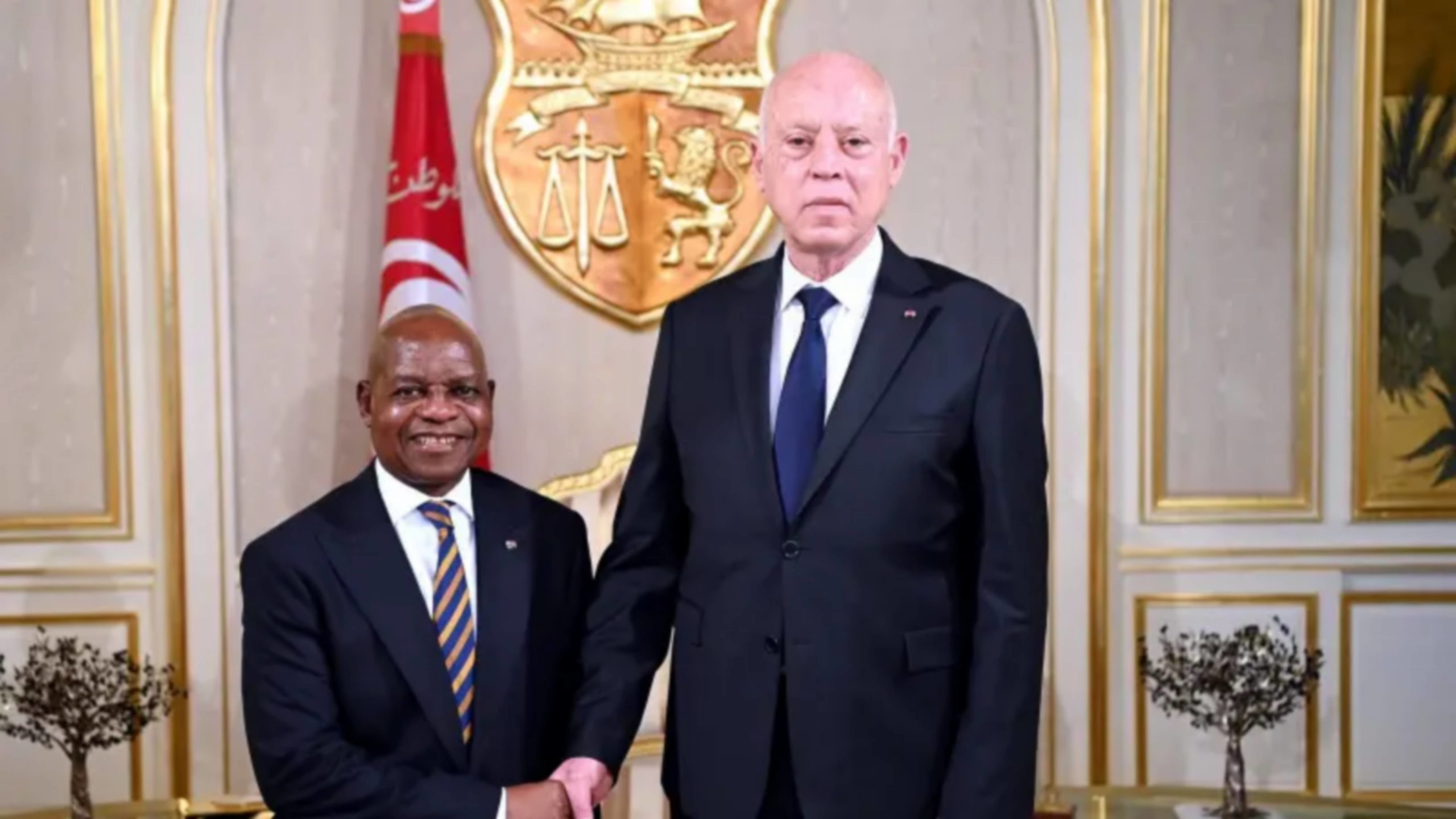 سعيّد يستقبل سفير جمهورية جنوب إفريقيا بتونس بمناسبة انتهاء مهامه